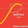 Body reaction that allows you to train: ADAPTATION