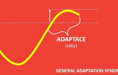 Body reaction that allows you to train: ADAPTATION